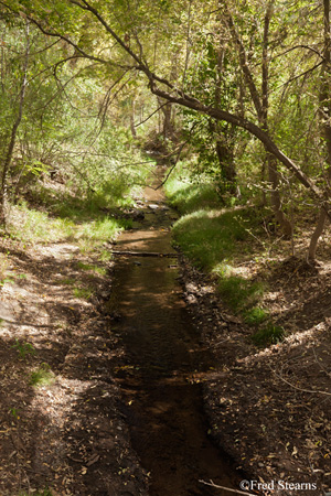 Bandelier National Monument Frijole Creek