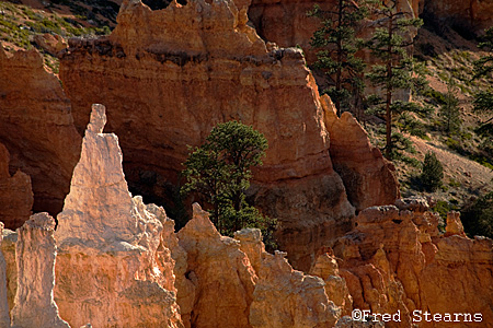 Bryce Canyon NP Sunrise Point The Pope