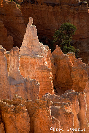 Bryce Canyon Sunrise Point