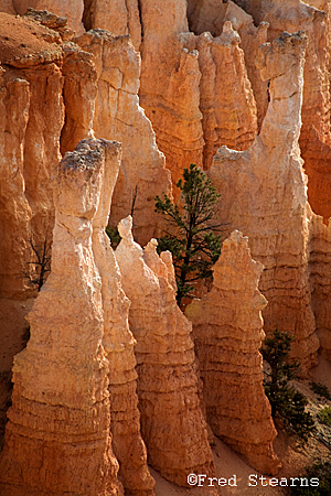 Bryce Canyon NP Sunrise Point