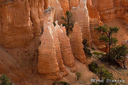 Bryce Canyon NP Sunrise Point