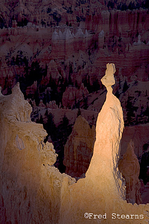 Bryce Canyon NP Sunset Point Rabbit Light Painting