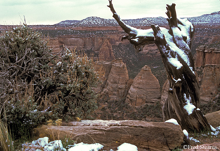 Colorado National Monument Coke Ovens