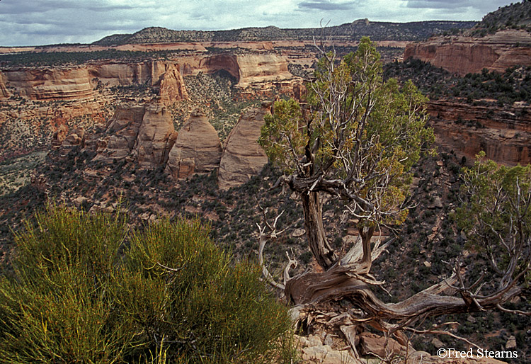 Colorado National Monument Coke Ovens