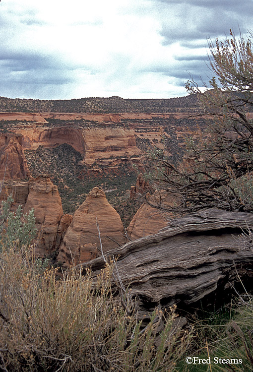 Colorado National Monument Coke Ovens