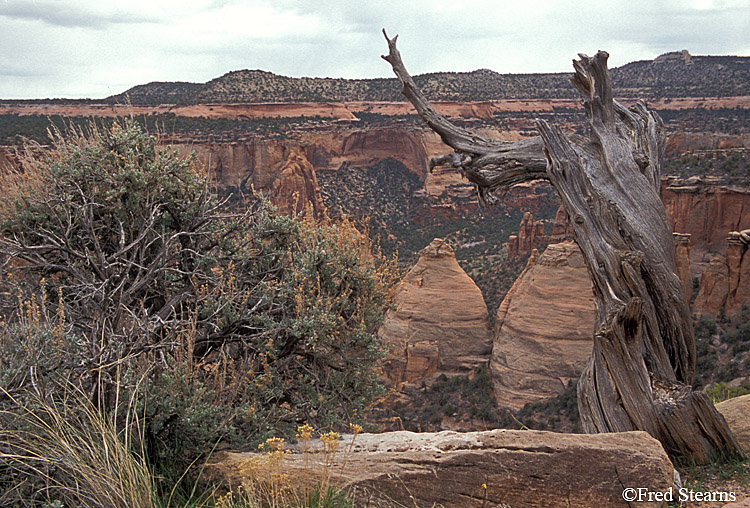 Colorado National Monument Coke Ovens