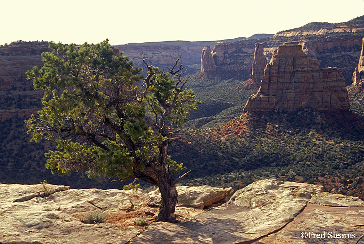 Colorado National Monument Independence Monument