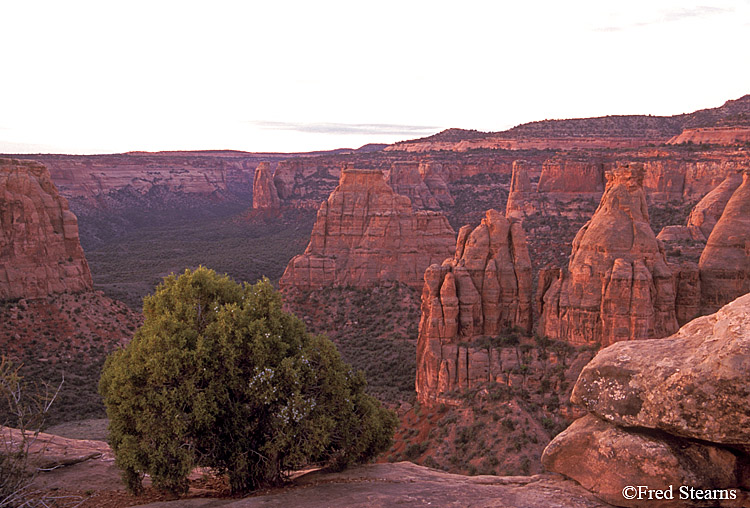 Colorado National Monument Pipe Organ