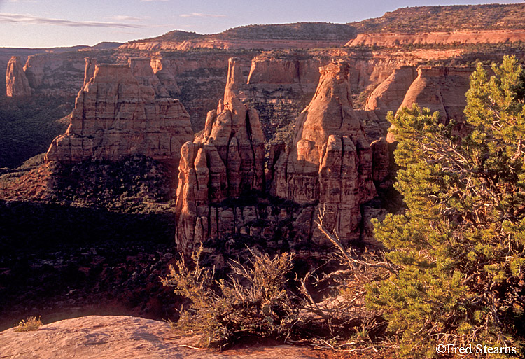 Colorado National Monument Pipe Organ