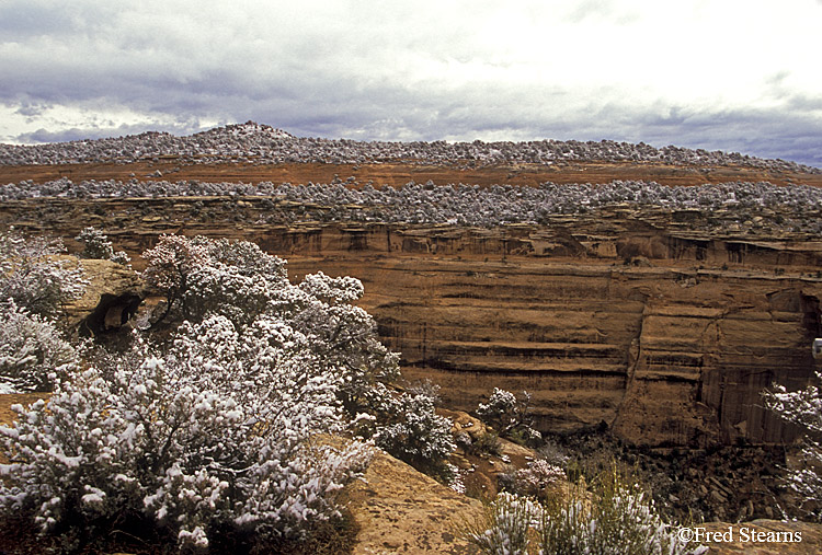 Colorado National Monument Upper Ute Canyon