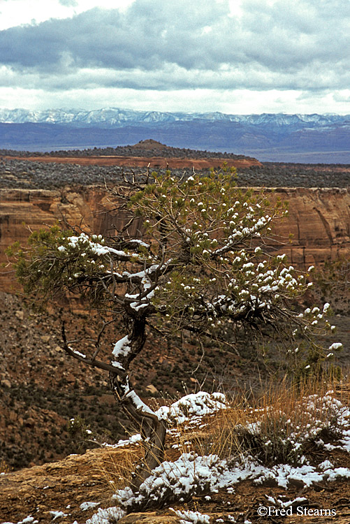 Colorado National Monument Upper Ute Canyon