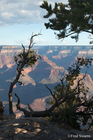 Grand Canyon National Park Yavapai Point