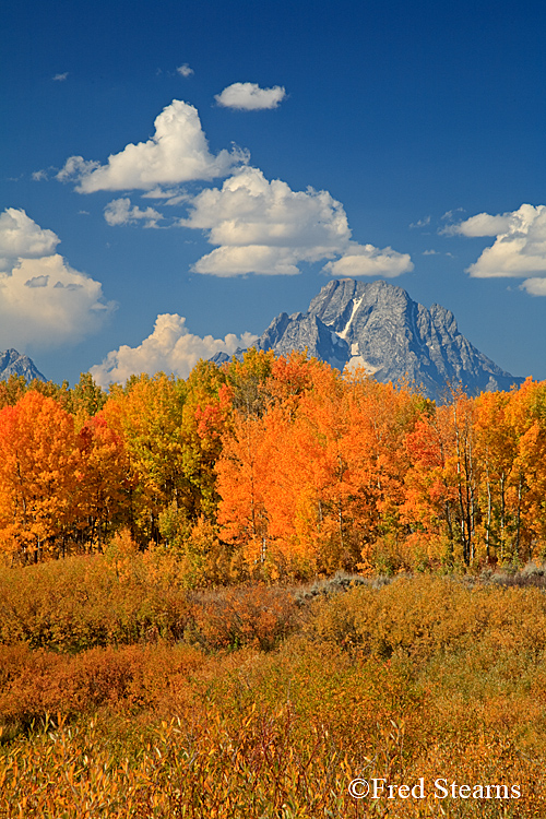 Grand Teton NP Oxbow Bend