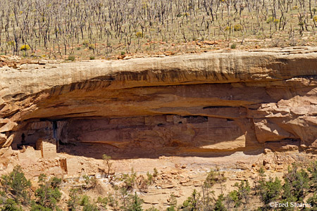 Mesa Verde National Park Hemenway House