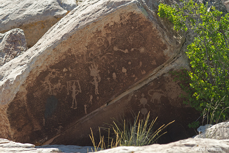 Petrified Forest National Park Newspaper Rock