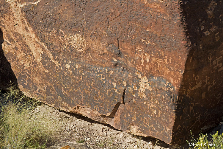 Petrified Forest National Park Newspaper Rock