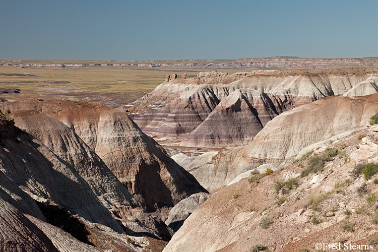 Petrified Forest National Park Blue Mesa