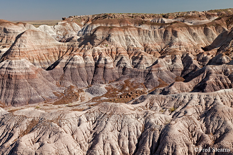 Petrified Forest National Park Blue Mesa