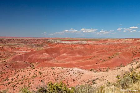 Petrified Forest National Park Painted Desert Tiponi Point