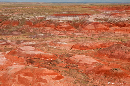 Petrified Forest National Park Painted Desert Tawa Point