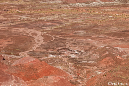 Petrified Forest National Park Painted Desert Chinde Point