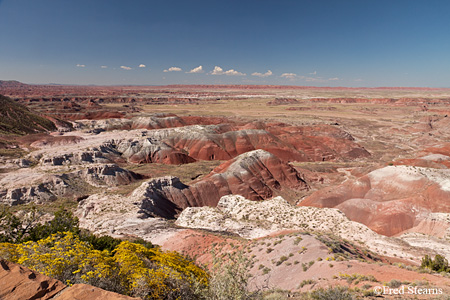 Petrified Forest National Park Painted Desert Pintado Point