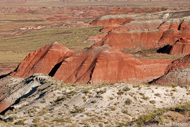 Petrified Forest National Park Painted Desert