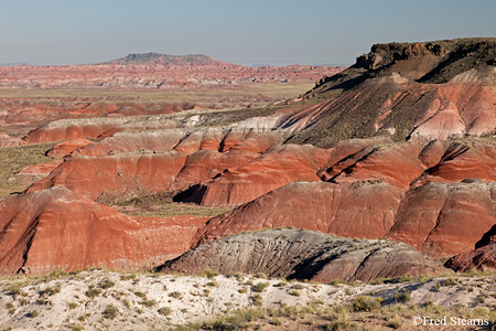 Petrified Forest National Park Painted Desert Lacey Point