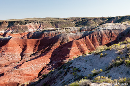 Petrified Forest National Park Painted Desert Lacey Point