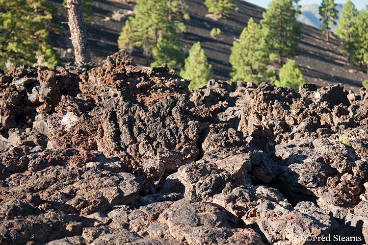 Sunset Crater Volcano National Monument Lava Flow Trail