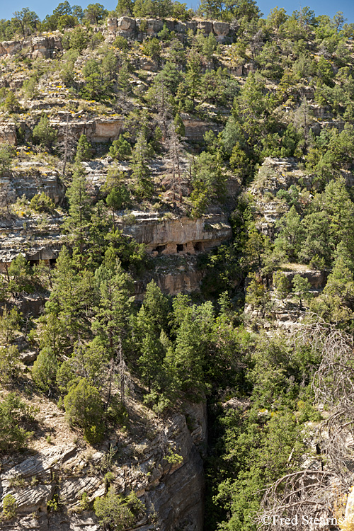 Walnut Canyon National Monument Island Trail Cliff Dwelling