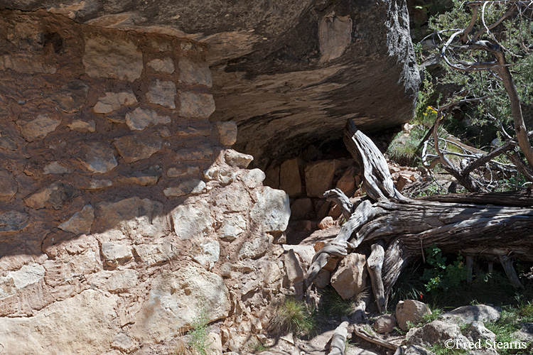 Walnut Canyon National Monument Island Trail Cliff Dwelling