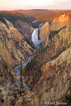 Yellowstone NP Lower Yellowstone Falls