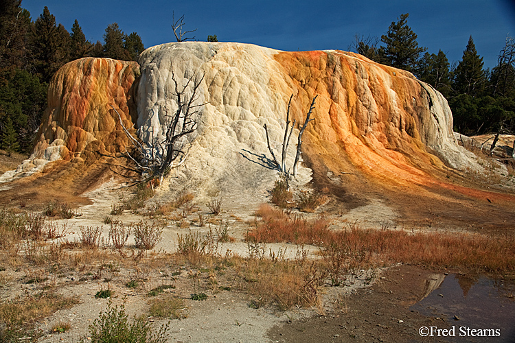 Yellowstone NP Mammoth Hot Springs