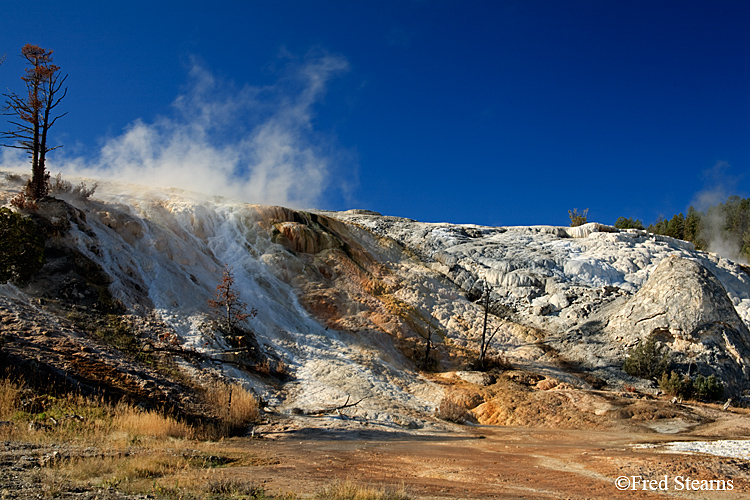 Yellowstone NP Mammoth Hot Springs