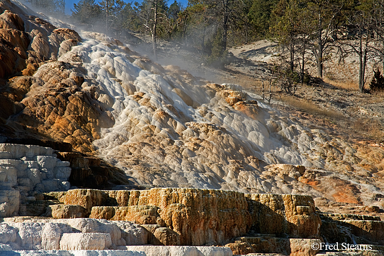 Yellowstone NP Mammoth Hot Springs