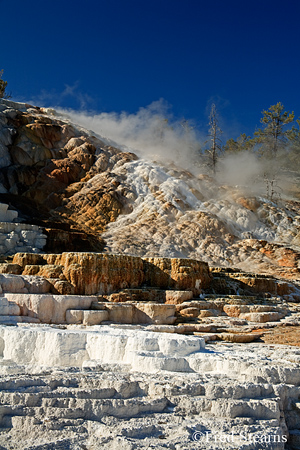 Yellowstone NP Mammoth Hot Springs