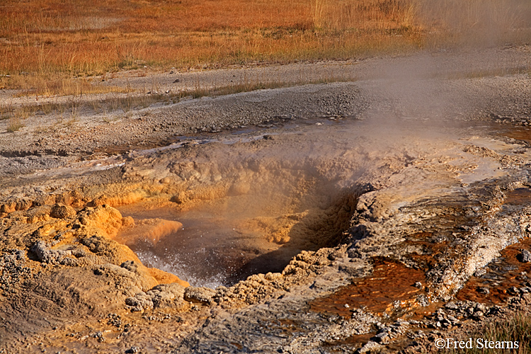 Yellowstone NP Upper Geyser Basin