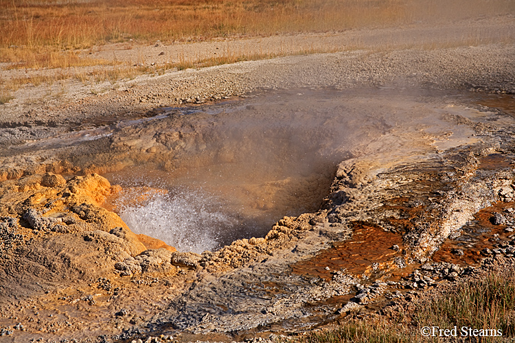 Yellowstone NP Upper Geyser Basin