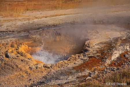 Yellowstone NP Aurum Geyser Eruption