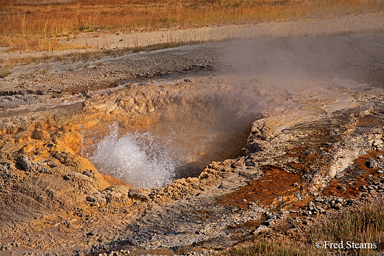 Yellowstone NP Upper Geyser Basin