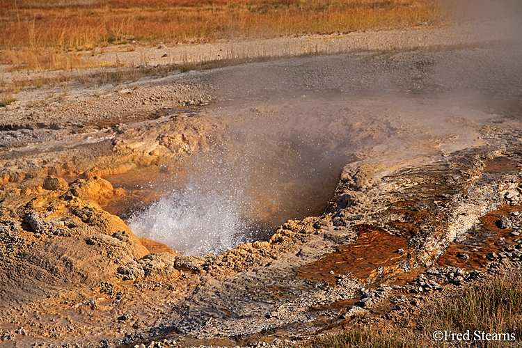 Yellowstone NP Upper Geyser Basin