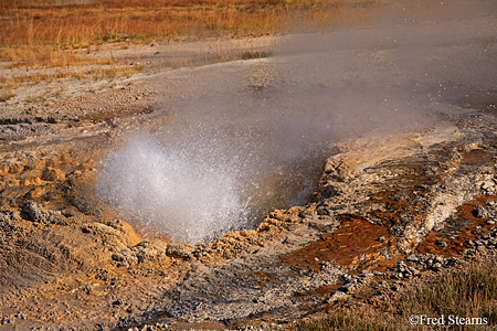 Yellowstone NP Aurum Geyser Eruption