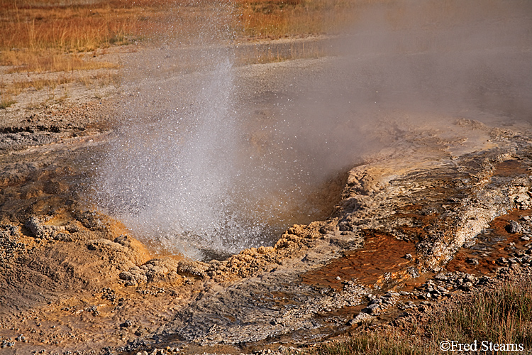 Yellowstone NP Upper Geyser Basin