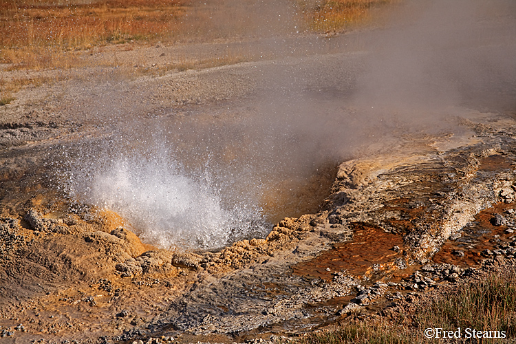 Yellowstone NP Upper Geyser Basin