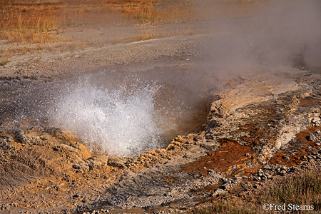 Yellowstone NP Aurum Geyser Eruption