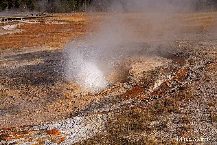 Yellowstone NP Upper Geyser Basin