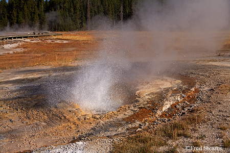Yellowstone NP Aurum Geyser Eruption