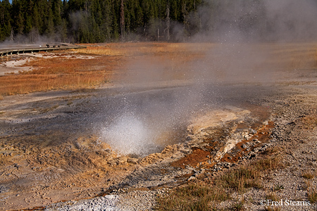 Yellowstone NP Aurum Geyser Eruption