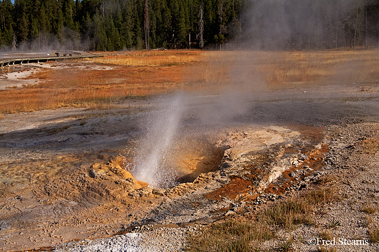 Yellowstone NP Upper Geyser Basin